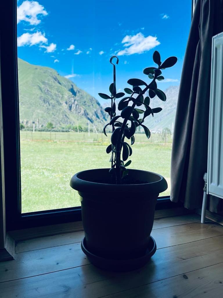 Quiet Cottage, Stepantsminda, Achkhoti Bagian luar foto